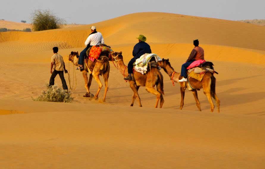 Rajasthan desert safari, desert safari in Rajasthan, camel safari in Rajasthan